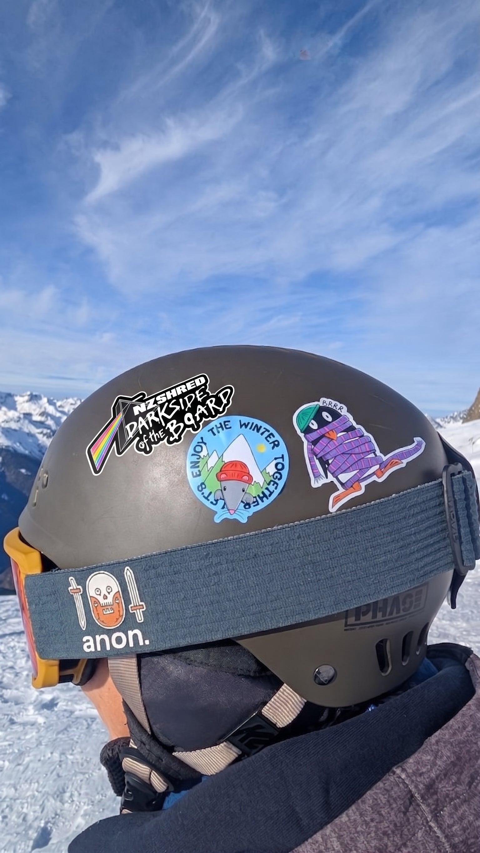 NZShred "Darkside of the Board" 10th Anniversary Charity Sticker
